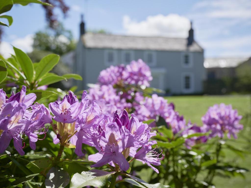 5 Bed In Loweswater Sz424 Lorton Eksteriør billede